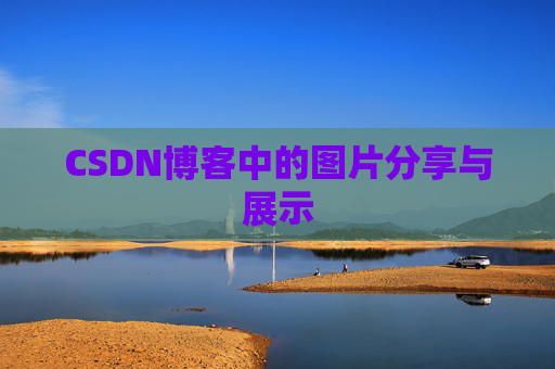 CSDN博客中的图片分享与展示